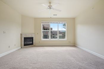 Built-in fireplaces in some apartment homes*